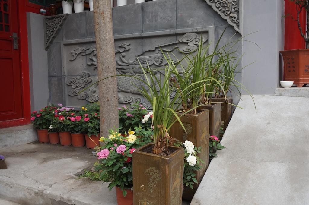 Songy Hundred-Year Courtyard Hotel Πεκίνο Εξωτερικό φωτογραφία